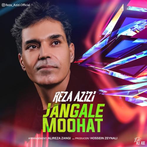 دانلود آهنگ جنگل موهات رضا عزیزی